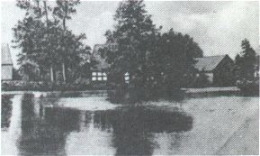 suckow.jpg (12930 Byte)