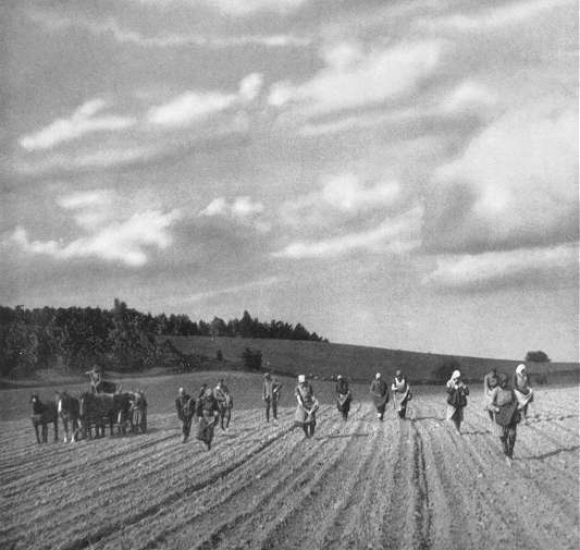 Pommern3.jpg (30729 Byte)